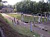 P9100586.JPG